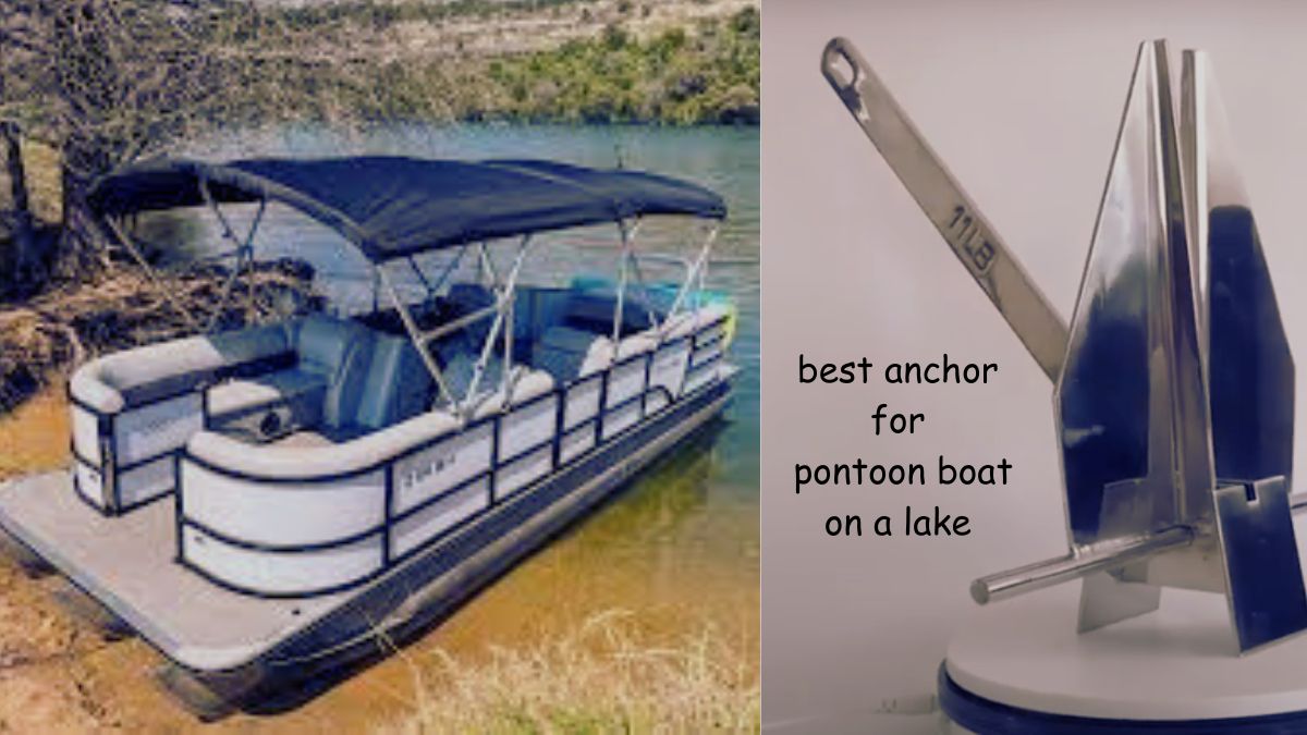 best anchor for pontoon boat on a lake