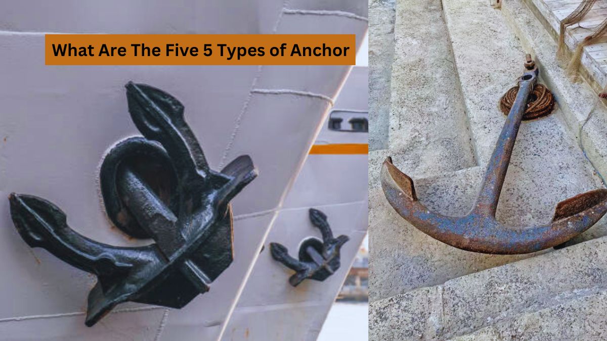 What Are The Five 5 Types of Anchor