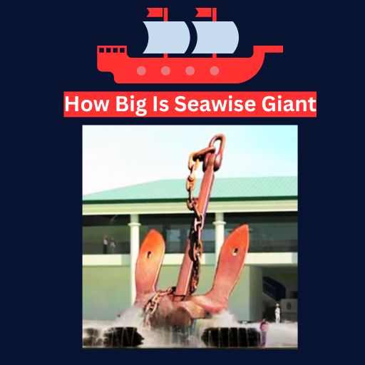 How Big Is Seawise Giant